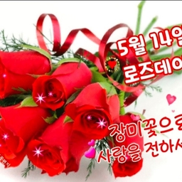 피드에 업로드 된 이미지