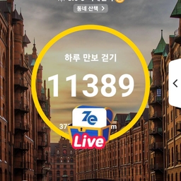 피드에 업로드 된 이미지