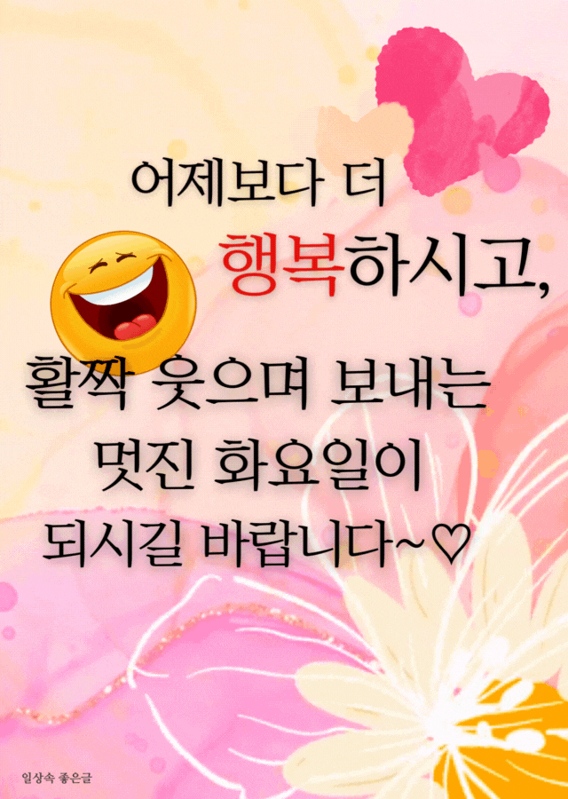 피드에 업로드 된 이미지