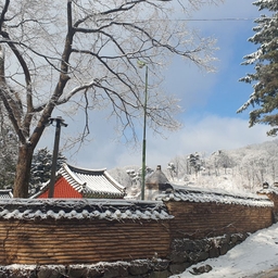 피드에 업로드 된 이미지