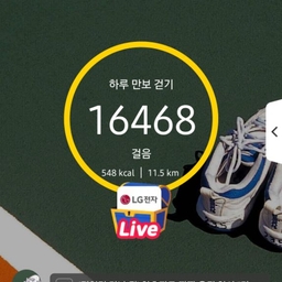 피드에 업로드 된 이미지