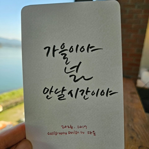 피드 이미지