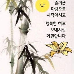 피드에 업로드 된 이미지