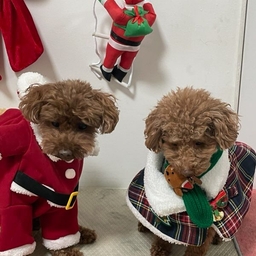 피드에 업로드 된 이미지