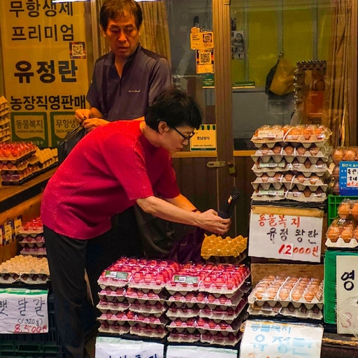 피드 이미지