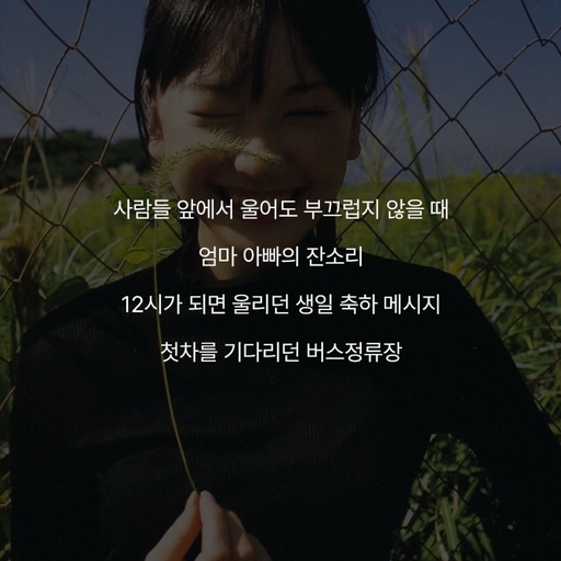 피드 이미지