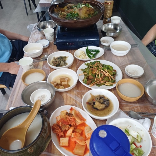 피드 이미지