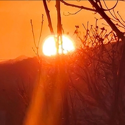 피드에 업로드 된 이미지