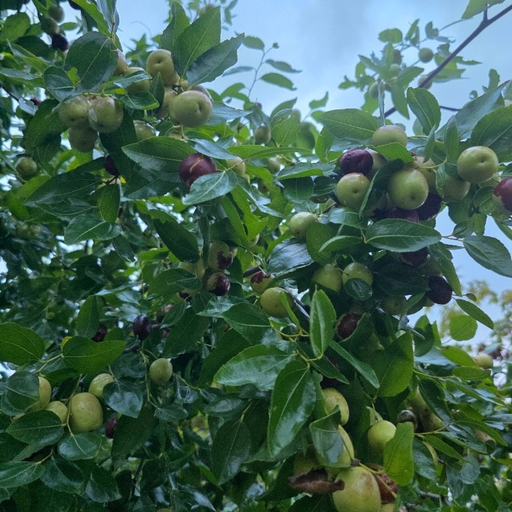 피드 이미지