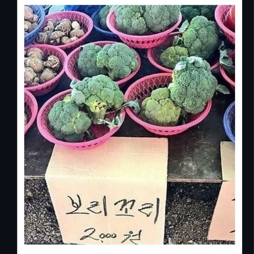 피드 이미지