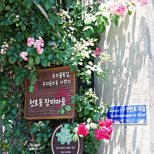 피드 이미지