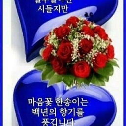 피드에 업로드 된 이미지
