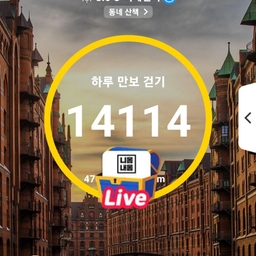 피드에 업로드 된 이미지