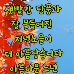 피드에 업로드 된 이미지