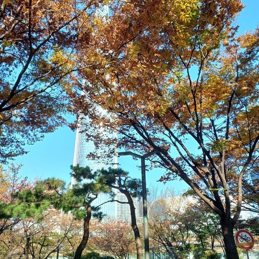 피드 이미지