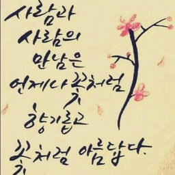 피드에 업로드 된 이미지