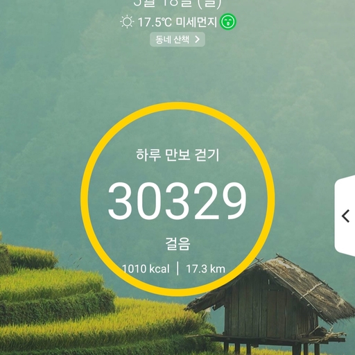 피드 이미지