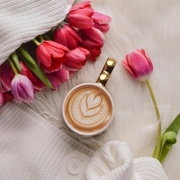 피드에 업로드 된 이미지