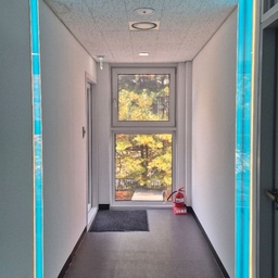 피드에 업로드 된 이미지