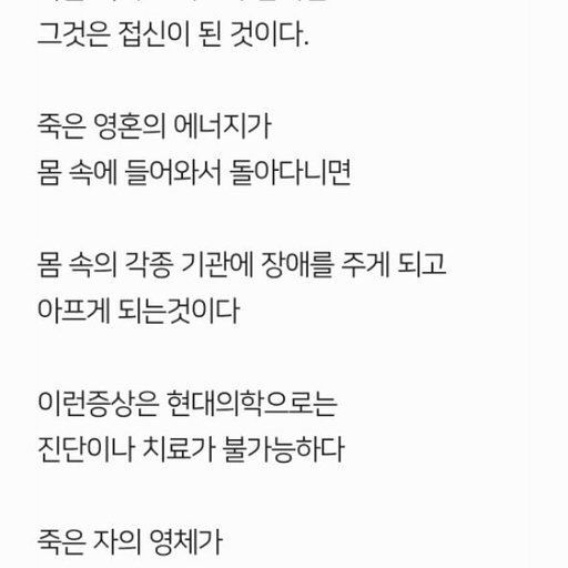 피드 이미지