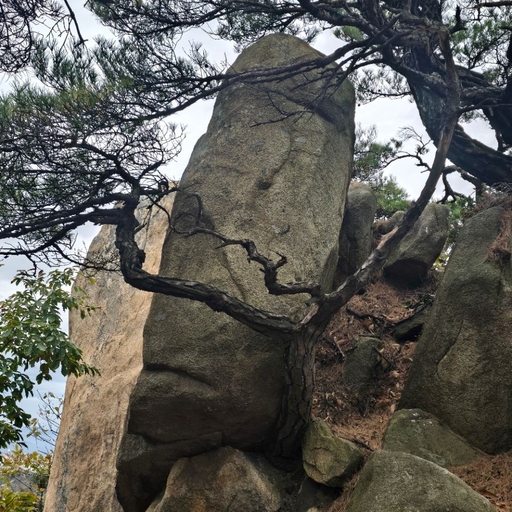 피드 이미지