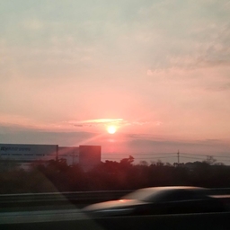 피드에 업로드 된 이미지