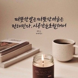 피드에 업로드 된 이미지