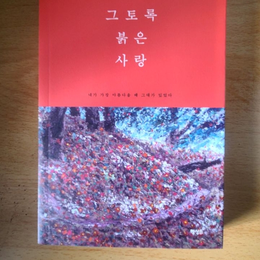 피드 이미지