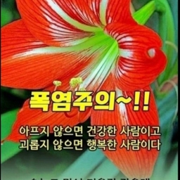 피드에 업로드 된 이미지