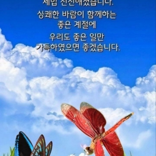 피드 이미지
