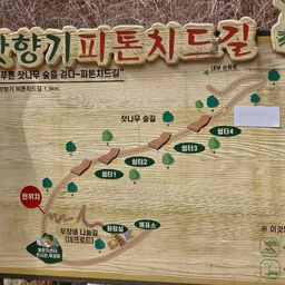 피드에 업로드 된 이미지