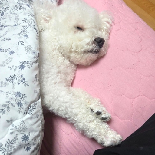 피드 이미지