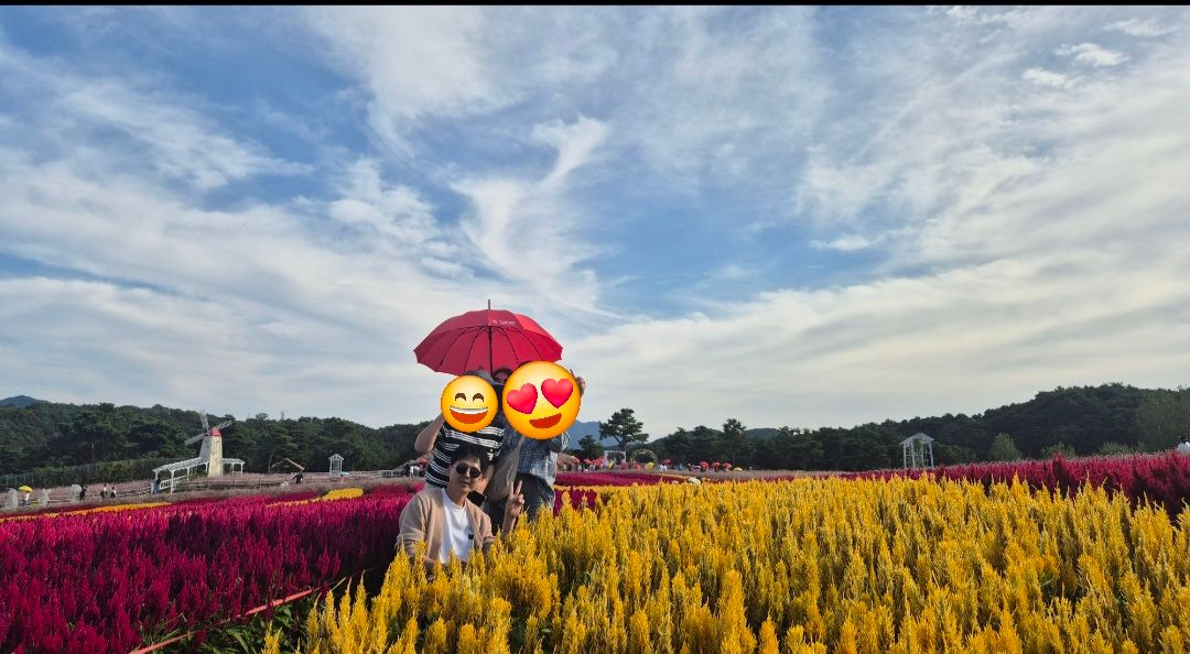 피드 이미지