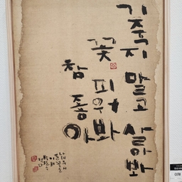 피드에 업로드 된 이미지
