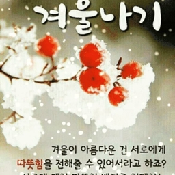 피드에 업로드 된 이미지