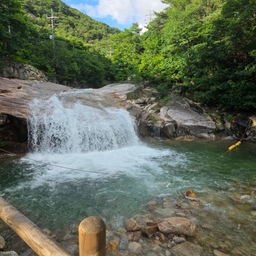 피드에 업로드 된 이미지