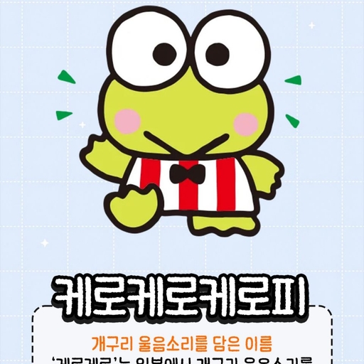 피드 이미지