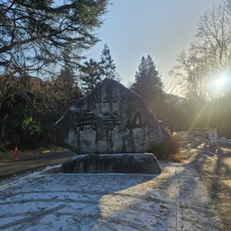 피드에 업로드 된 이미지