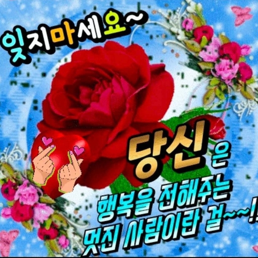 피드 이미지