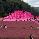 멤버 프로필