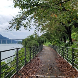 피드에 업로드 된 이미지