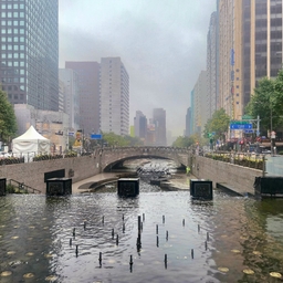 피드에 업로드 된 이미지