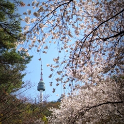 피드에 업로드 된 이미지