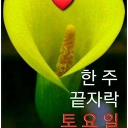 피드에 업로드 된 이미지