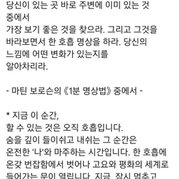 피드에 업로드 된 이미지