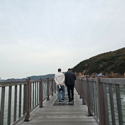 피드에 업로드 된 이미지