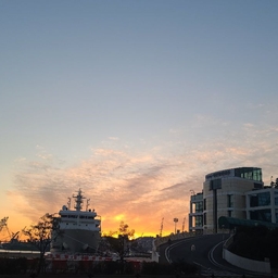 피드에 업로드 된 이미지