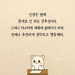 피드에 업로드 된 이미지