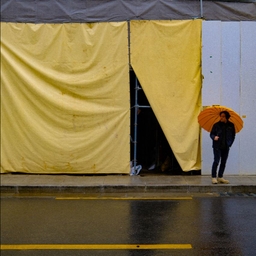 피드에 업로드 된 이미지