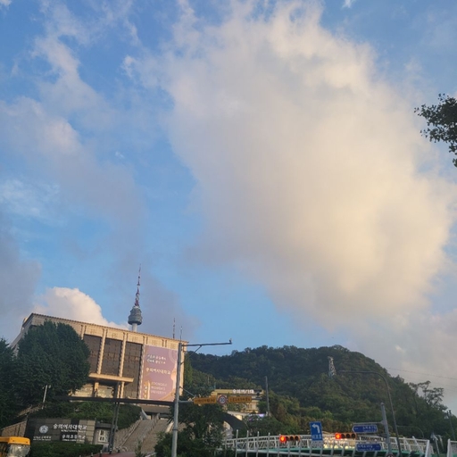 피드 이미지